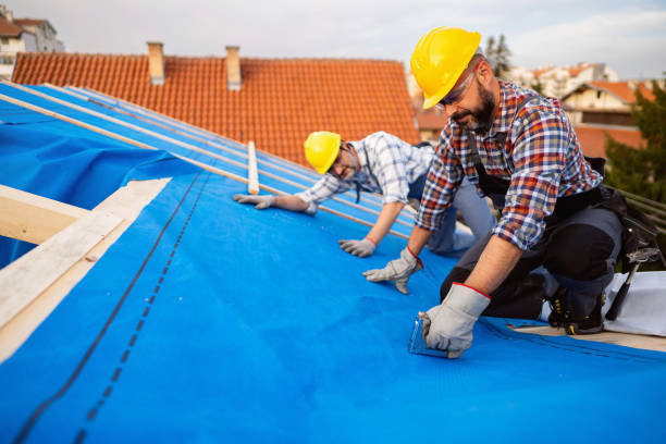 Best Roof Leak Repair  in Bristol, IN